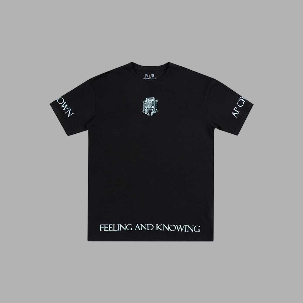 CAMISETA AP CROWN UNITY FACE DIMESION BLACK