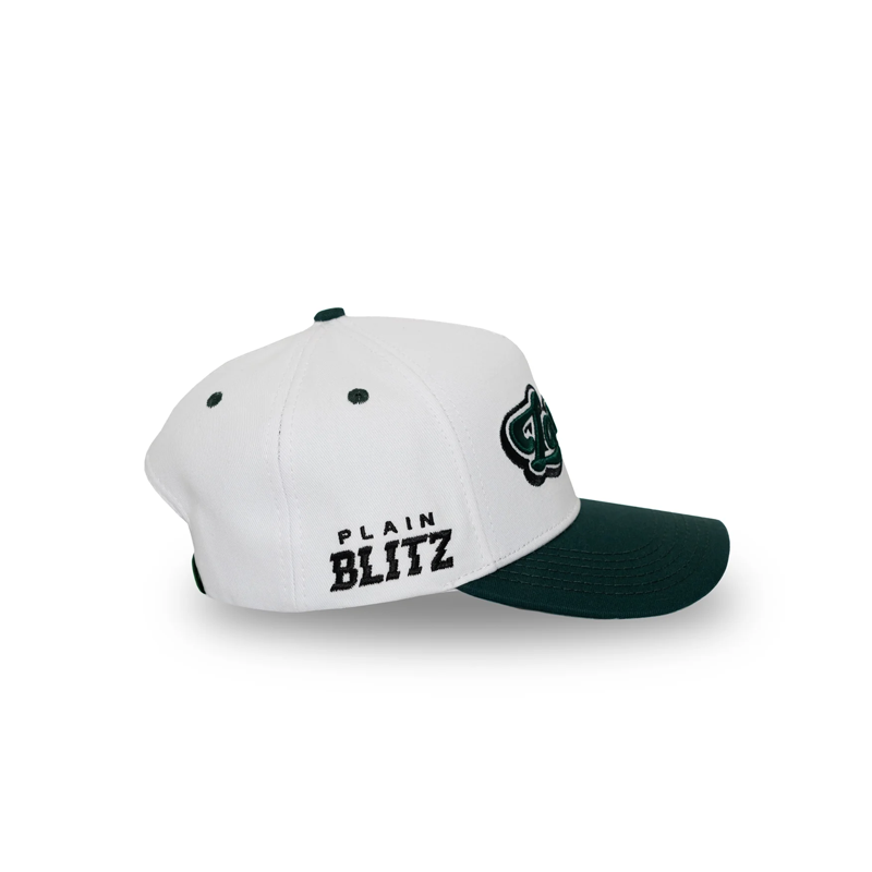 GORRA LOWKEY DREAMERS VERDE