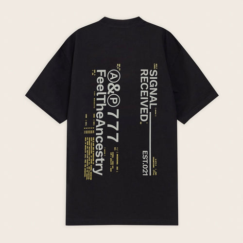 CAMISETA AP CROWN ASHEN BLACK