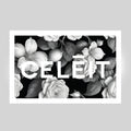 PAREO CELEIT