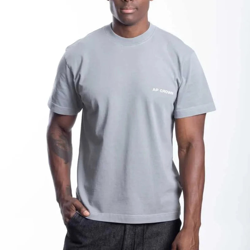 CAMISETA AP CROWN GRANITO