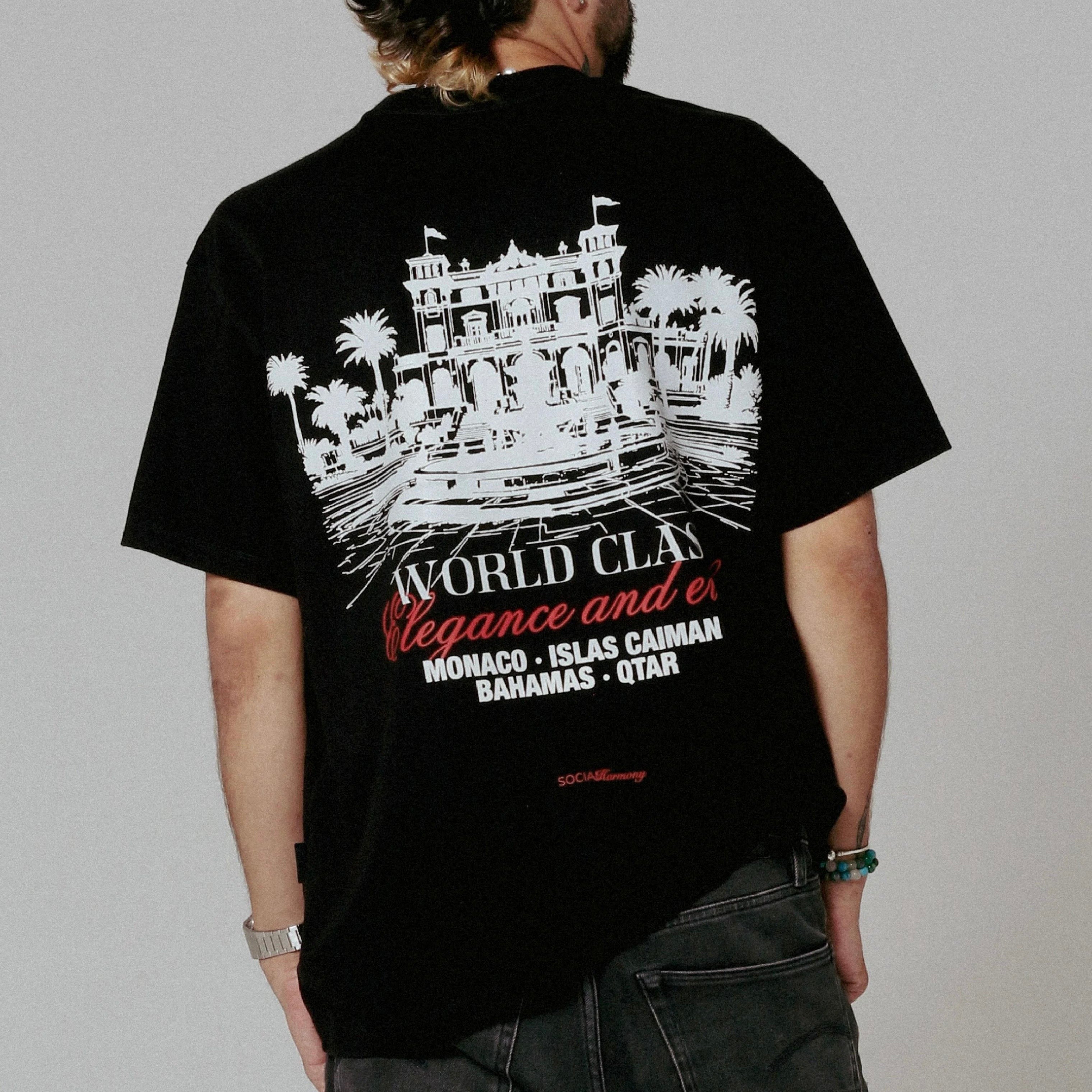 CAMISETA SOCIALHARMONY VIERGE-ARCA