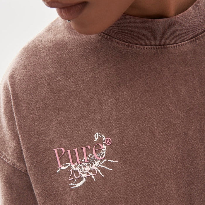 CAMISETA PURE BIOLOGY BROWN WASHED